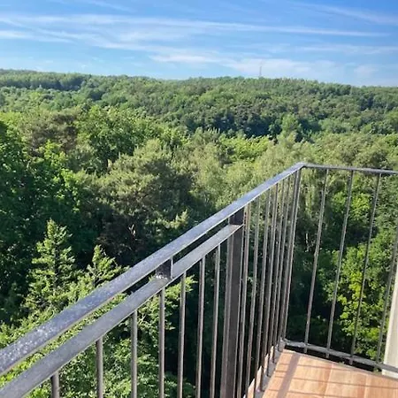 W Sopocie Miedzy Lasem A Morzem דירה