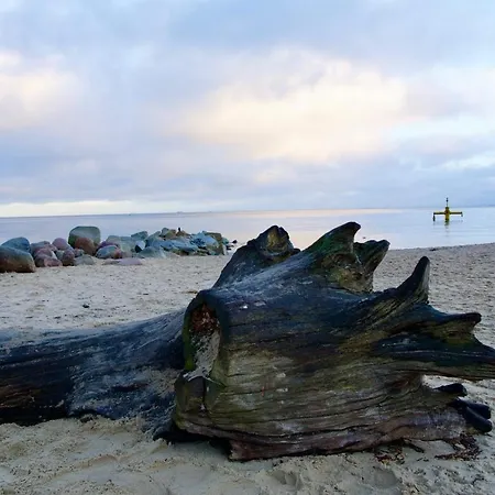 W Sopocie Miedzy Lasem A Morzem דירה סופוט