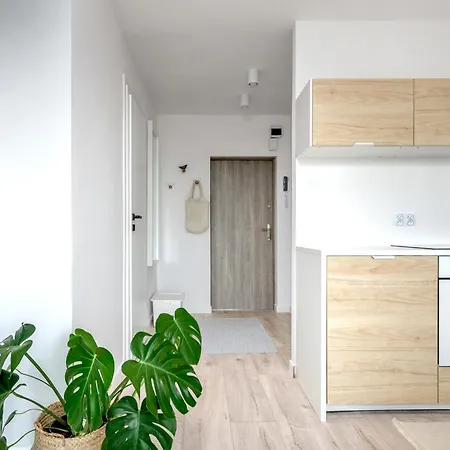 W Sopocie Miedzy Lasem A Morzem דירה