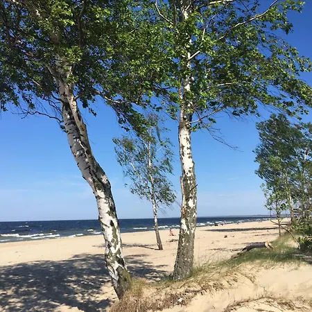 W Sopocie Miedzy Lasem A Morzem דירה סופוט