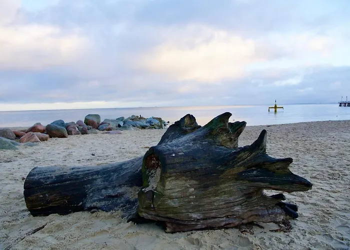 W Sopocie Miedzy Lasem A Morzem 아파트 소포트